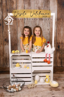 /album/velikonoce-jaro-2026/1-jpg10/