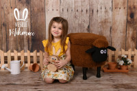 /album/velikonoce-jaro-2026/3-jpg10/